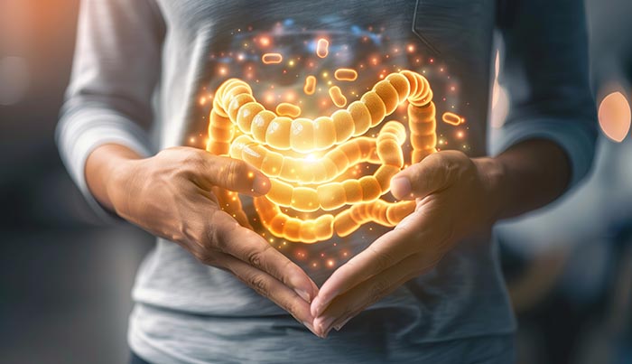 Test Microbiote Intestinal Colorscreen