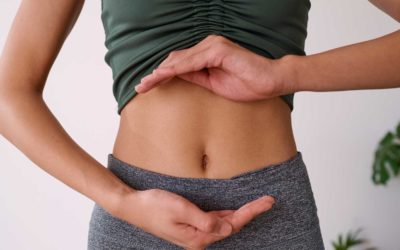 Le microbiote intestinal